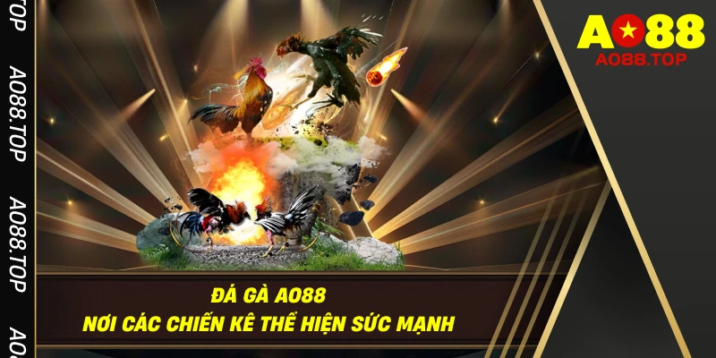 Đá Gà AO88 - Nơi Các Chiến Kê Thể Hiện Sức Mạnh